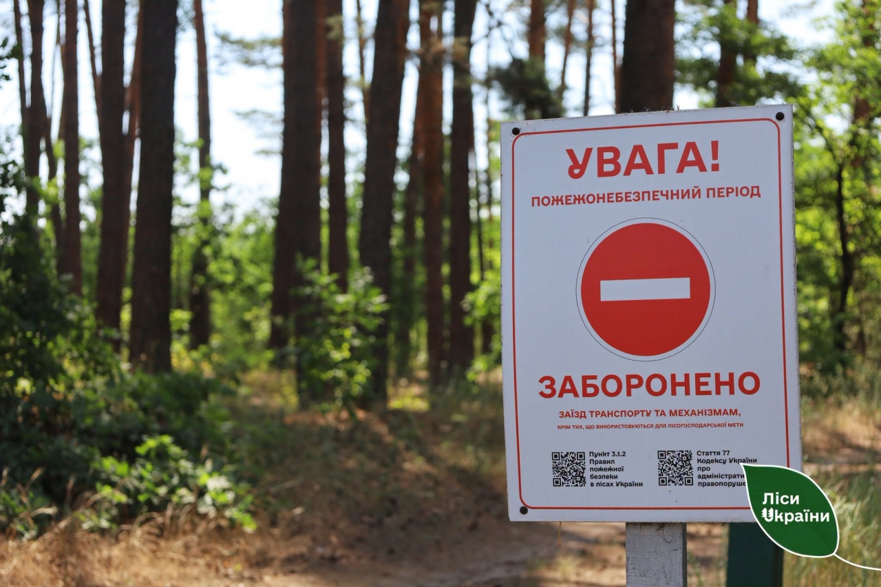 Докладнiше