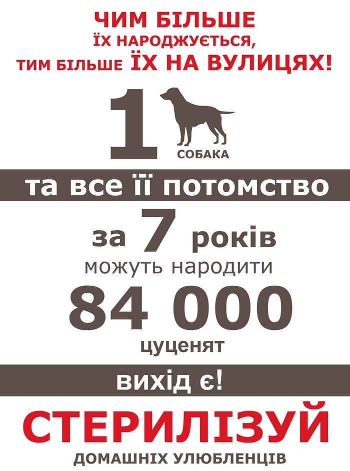 Стерилізація домашніх тварин :: Офіційний сайт міста Миргород. Офіційний  сайт Миргородської міської ради