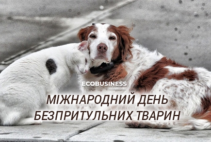 Докладнiше