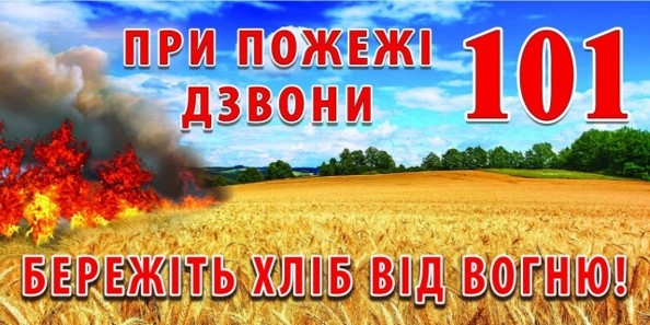 Докладнiше